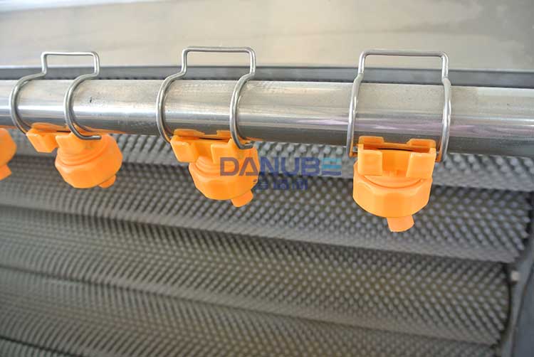 Washing and peeling machine