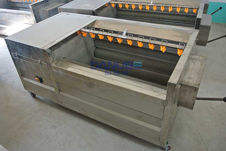 Washing and peeling machine