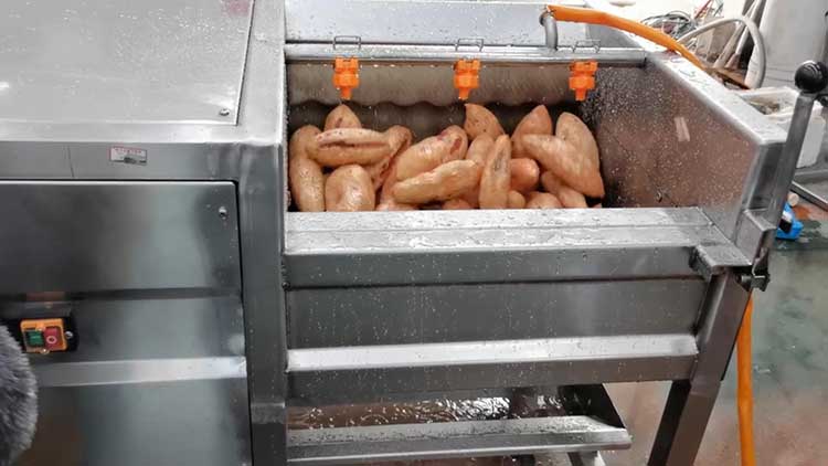 Washing and peeling machine Sweet potato