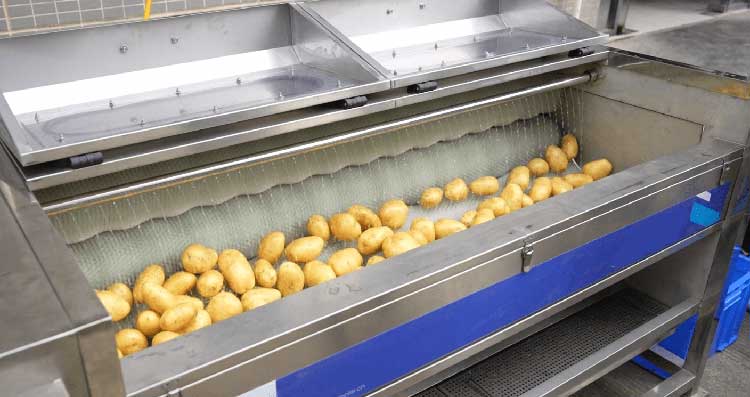 Potato