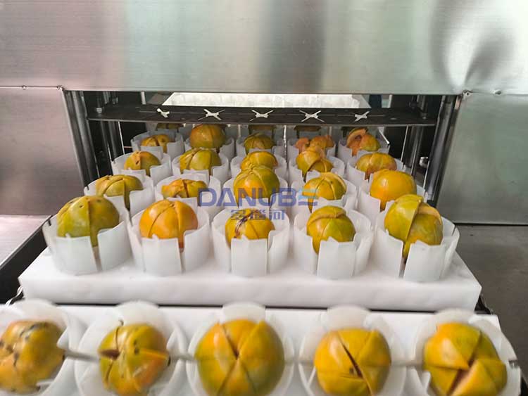pitting machine persimmon