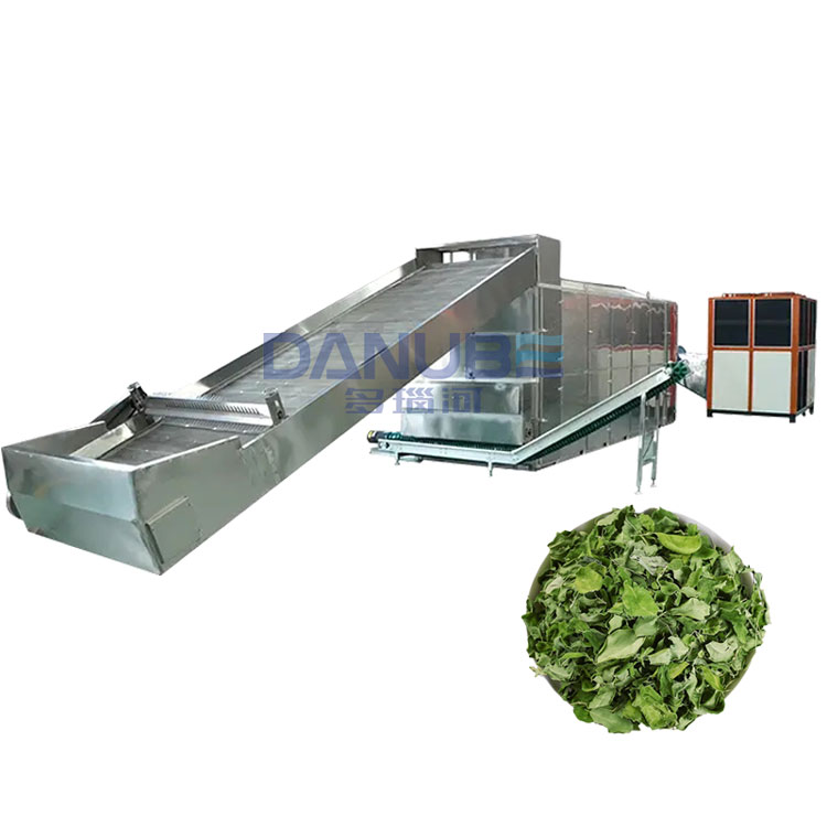 moringa leaf dryer